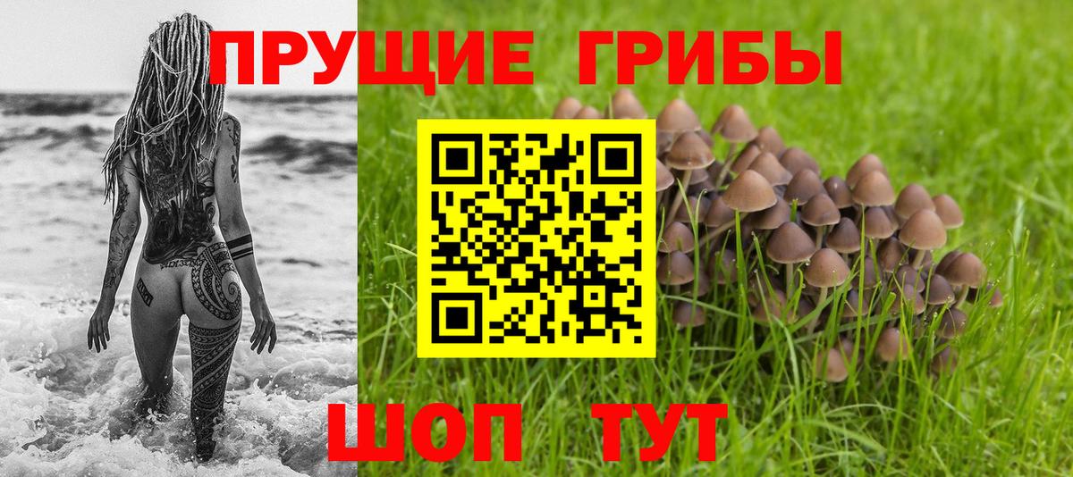 Псилоцибиновые грибы мухоморы Изобильный