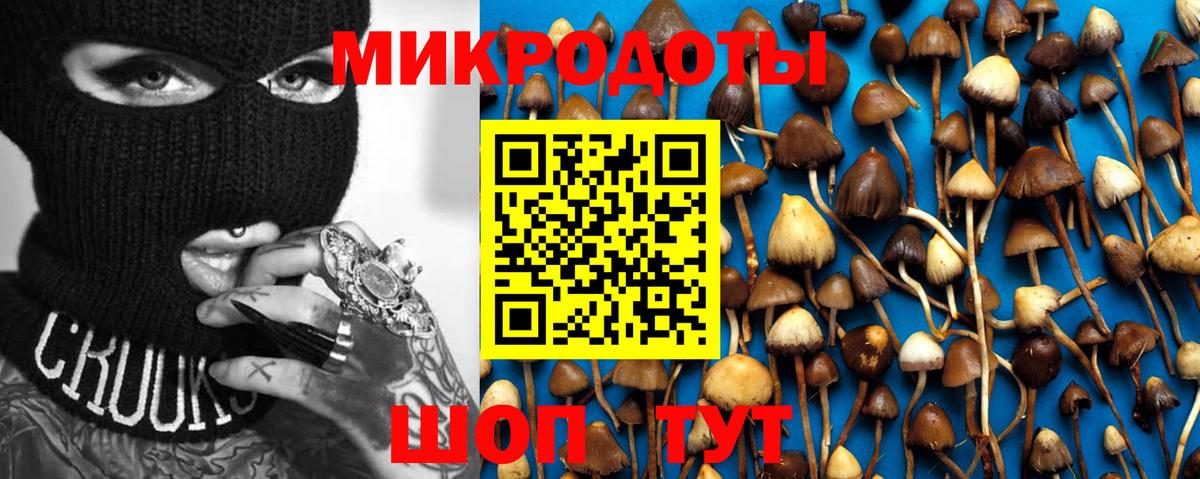 Псилоцибиновые грибы прущие грибы  цены наркотик  Псилоцибиновые грибы Psilocybe  Изобильный  Вход с VPN 