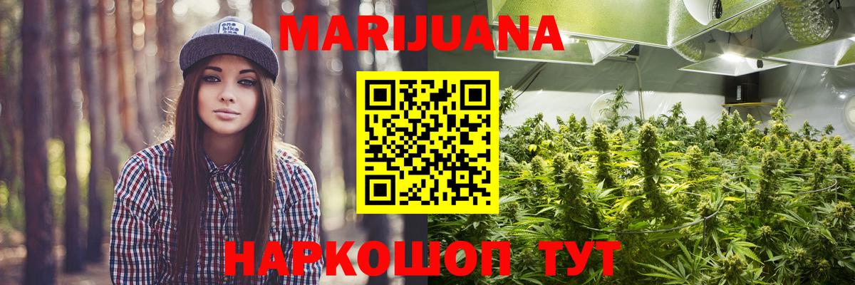 Шишки марихуана планчик Изобильный